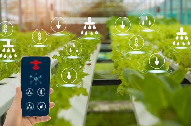 Innovative applications and advantages of microcontrollers in smart agricultural systems